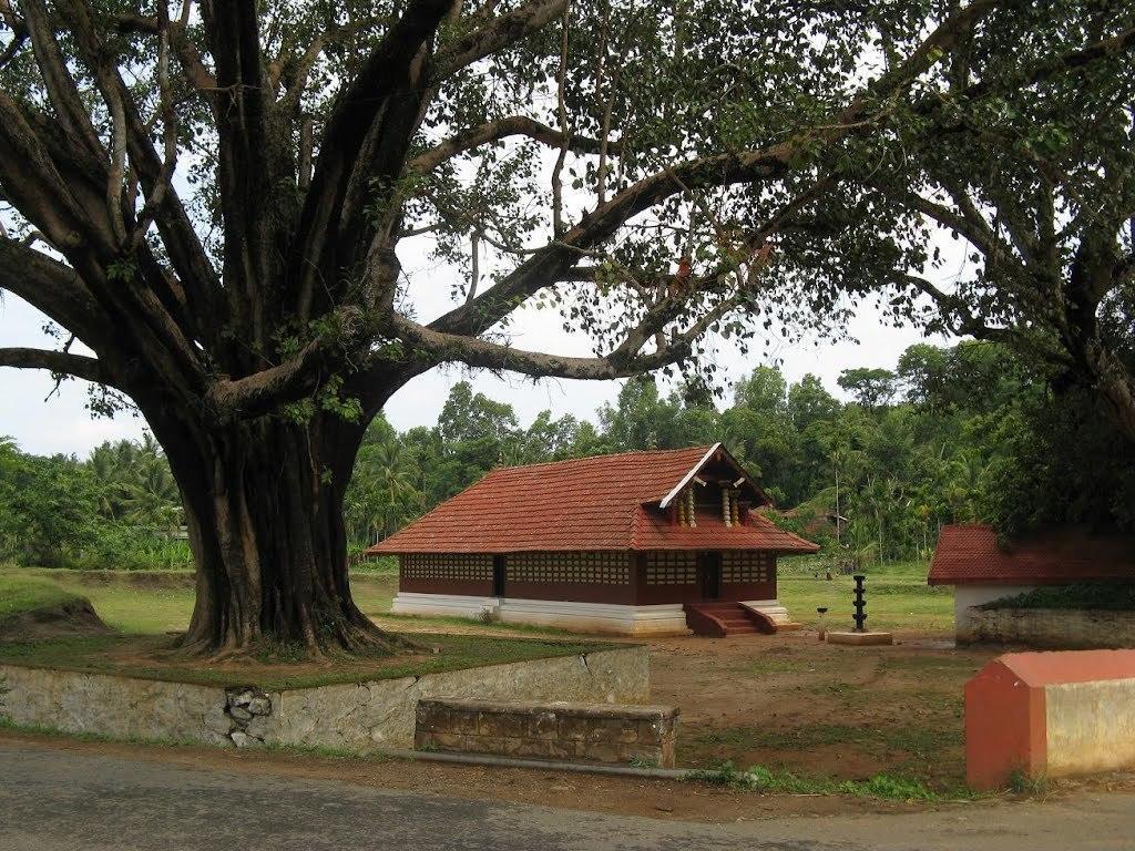 Wayanad Gate Resort มานันทาวดี ภายนอก รูปภาพ