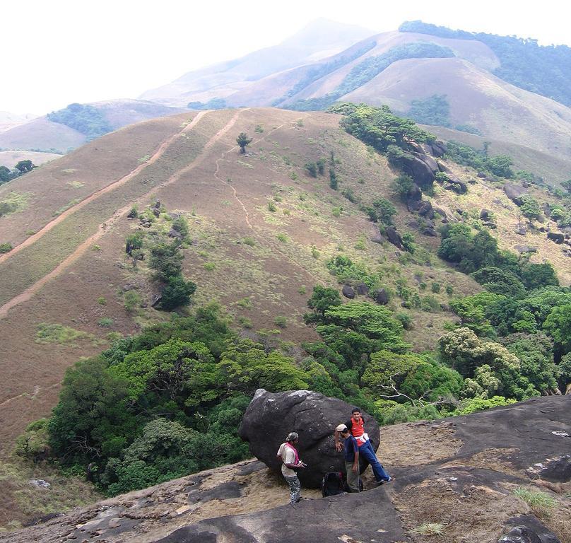 Wayanad Gate Resort มานันทาวดี ภายนอก รูปภาพ