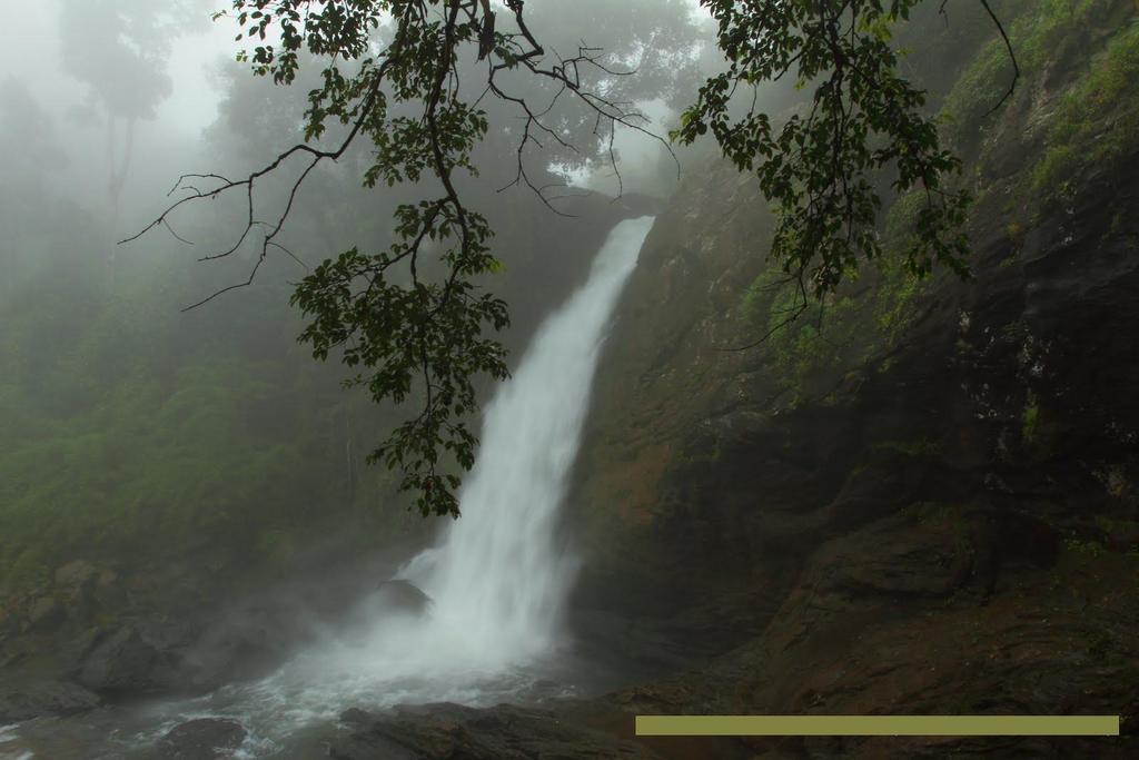 Wayanad Gate Resort มานันทาวดี ภายนอก รูปภาพ