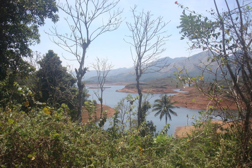 Wayanad Gate Resort มานันทาวดี ภายนอก รูปภาพ