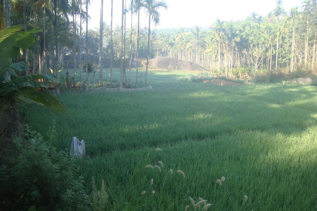 Wayanad Gate Resort มานันทาวดี ภายนอก รูปภาพ