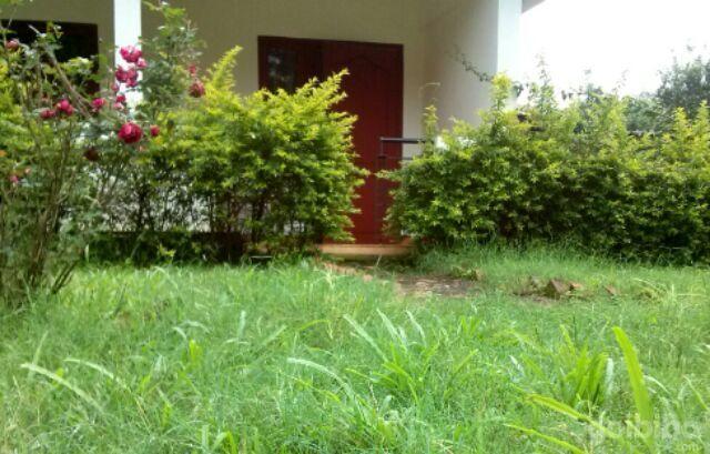 Wayanad Gate Resort มานันทาวดี ภายนอก รูปภาพ